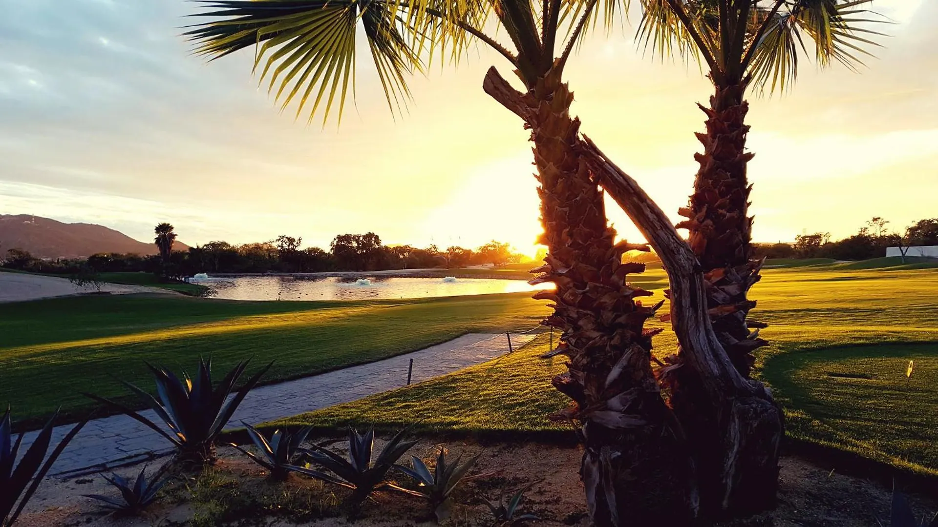 **** Resort Los Cabos Golf Resort, Trademark Collection By Wyndham Cabo San Lucas Mexiko